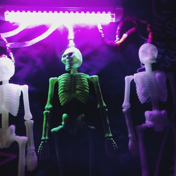 3 glow in the dark & blacklight hanging skeletons!!! - Picture 4 of 8